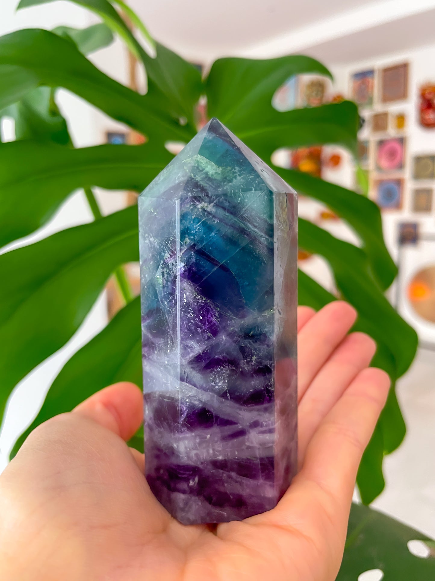Geradores Fluorite
