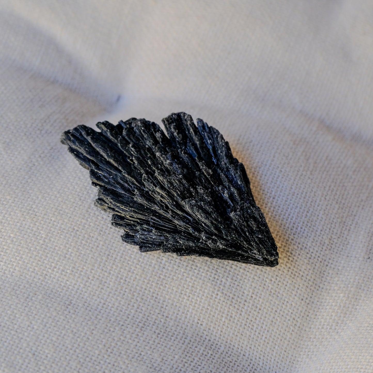 Cianite Preta ( Vassoura de Bruxa )