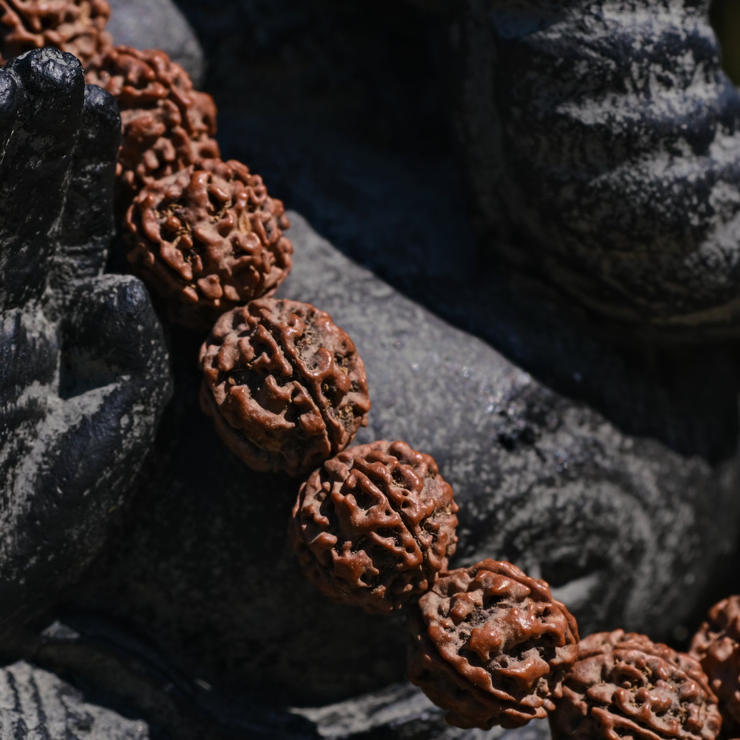 Japamala Rudraksha Big