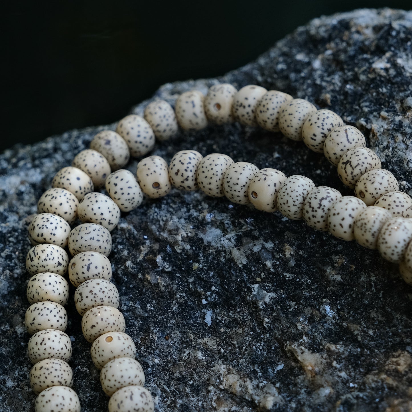 Japamala Semente de Loto