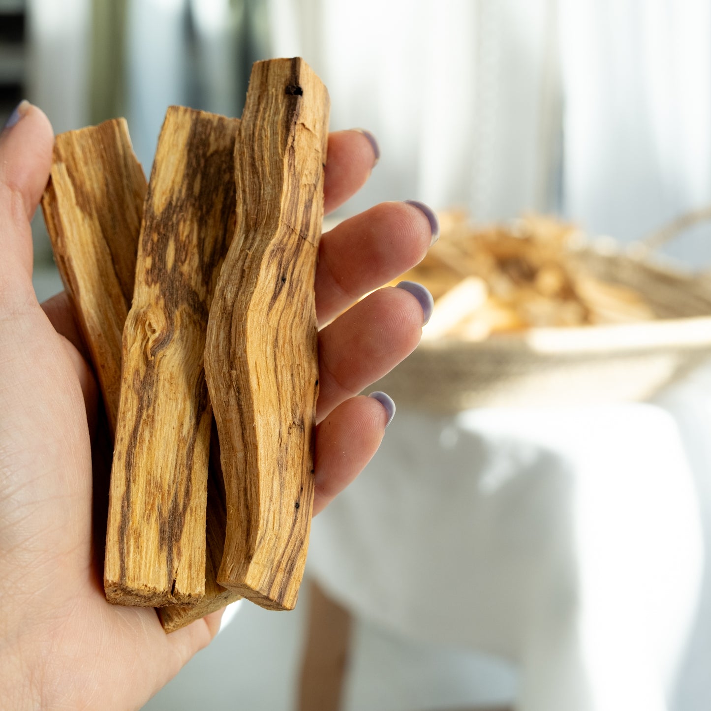 Palo Santo