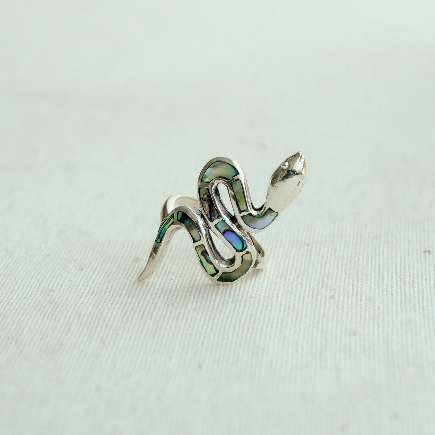 Serpente concha de Abalone