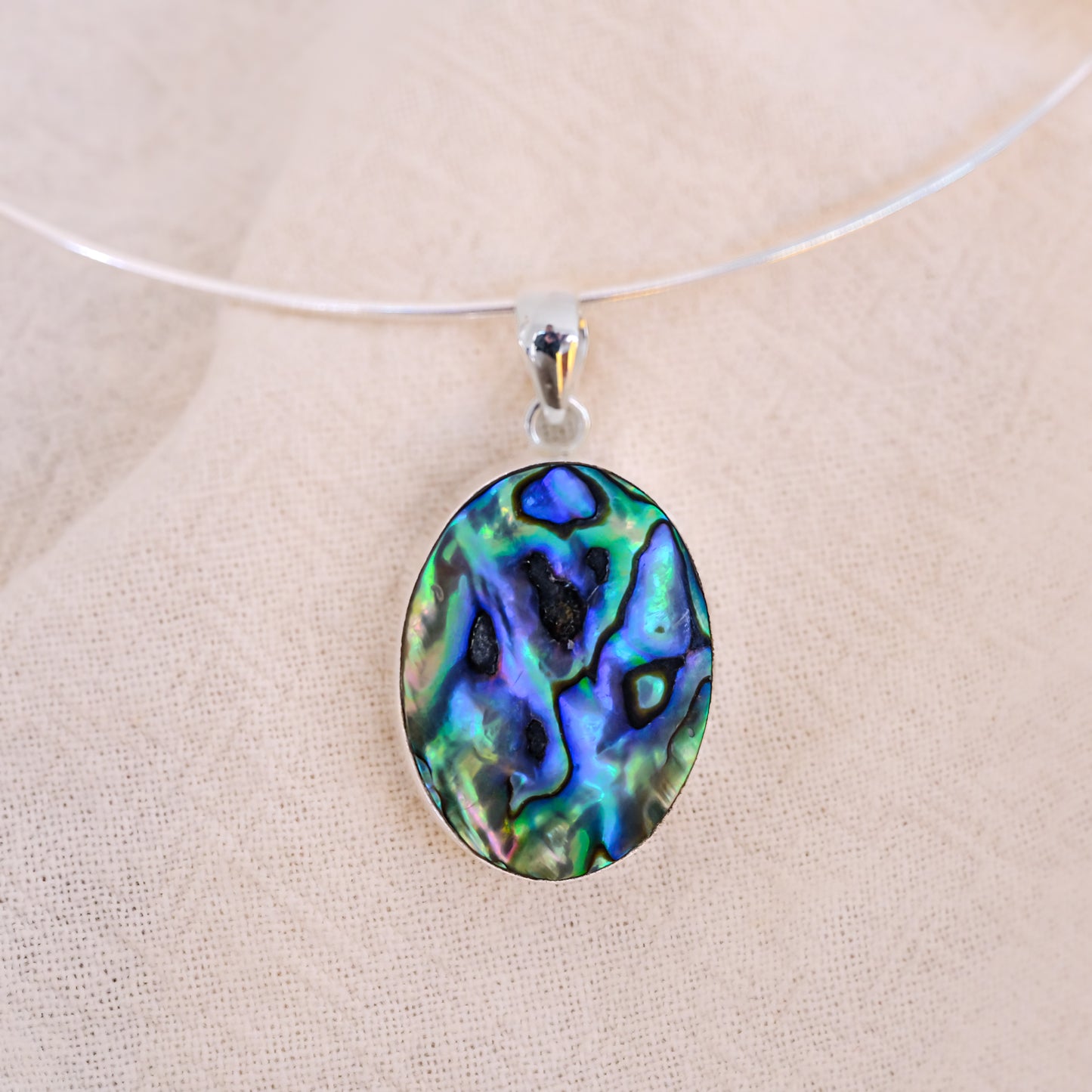 Concha Abalone