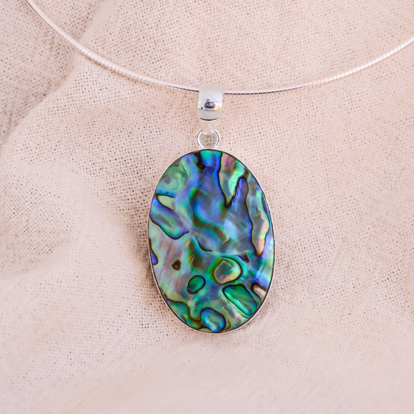Concha Abalone