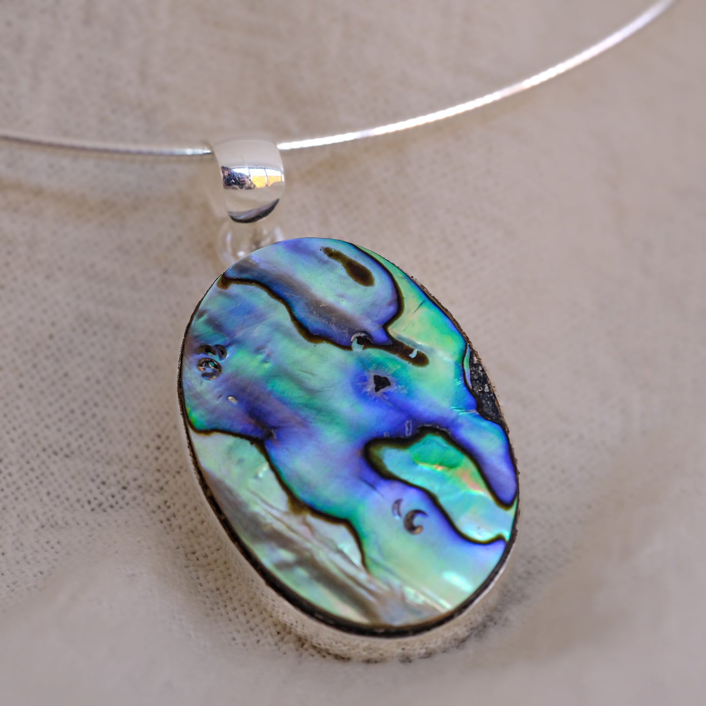 Concha Abalone