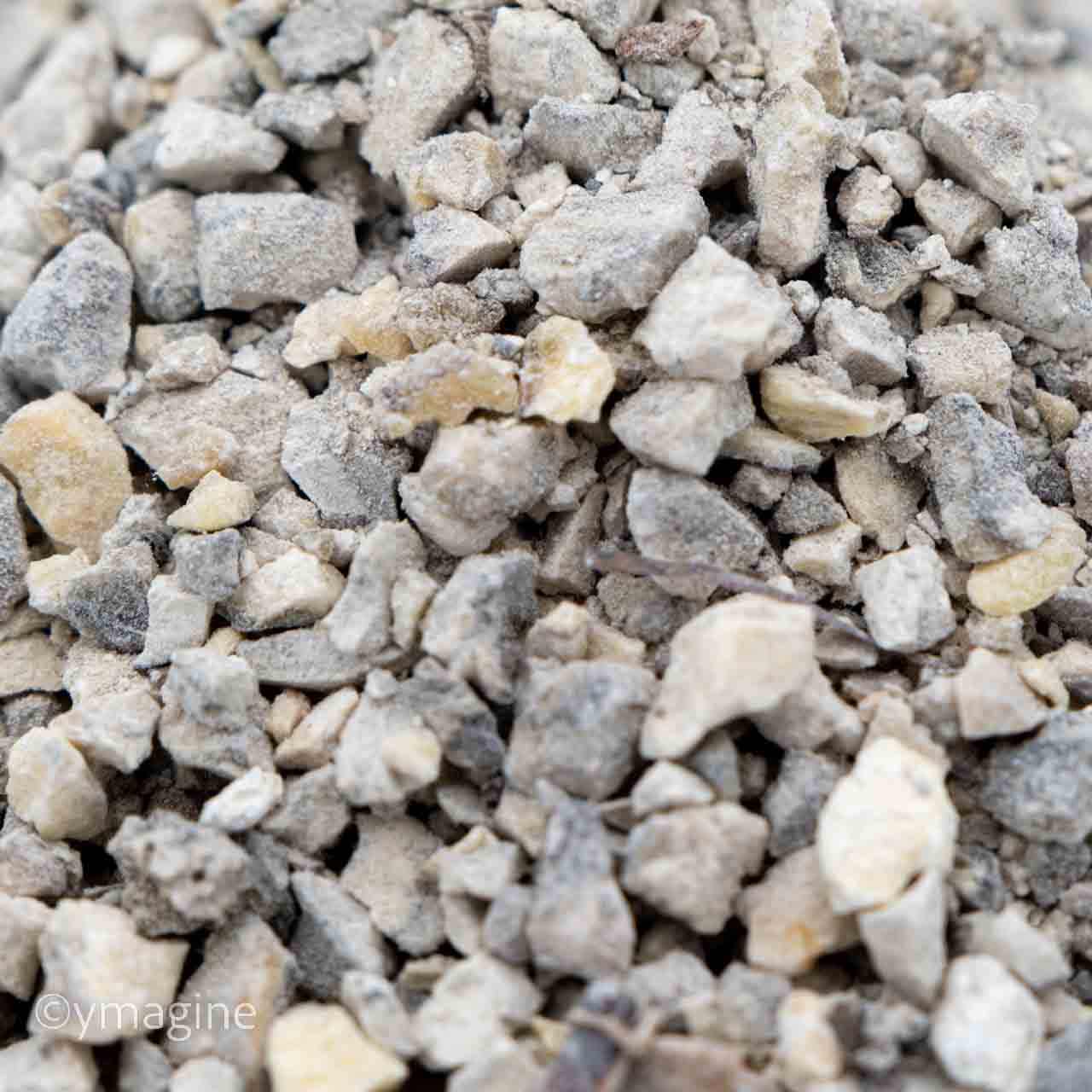 Copal Branco Ecuador