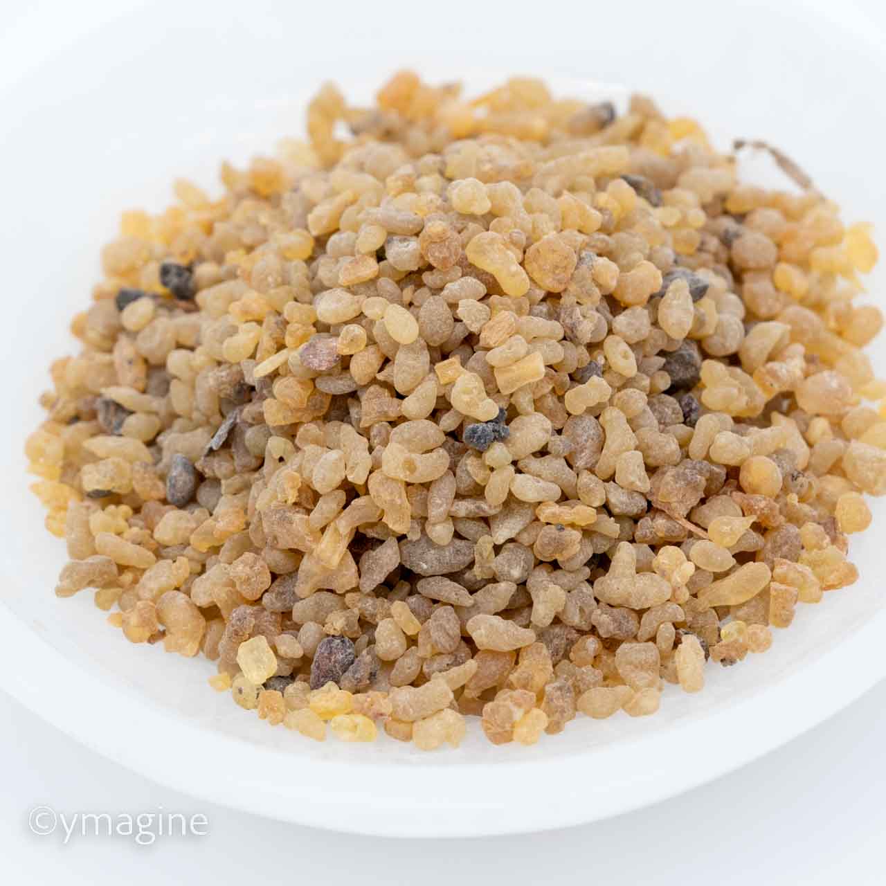 Olibano