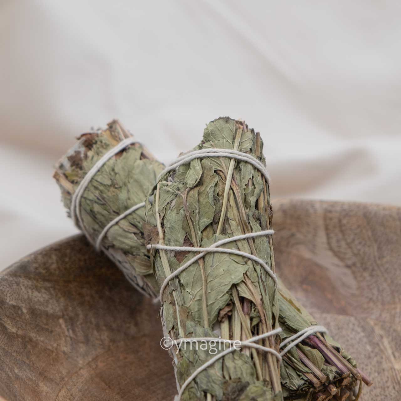 Salvia Branca com Menta piperita