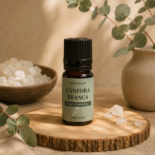 Cânfora Branca