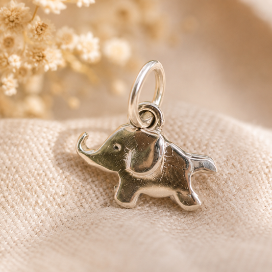 Elefante