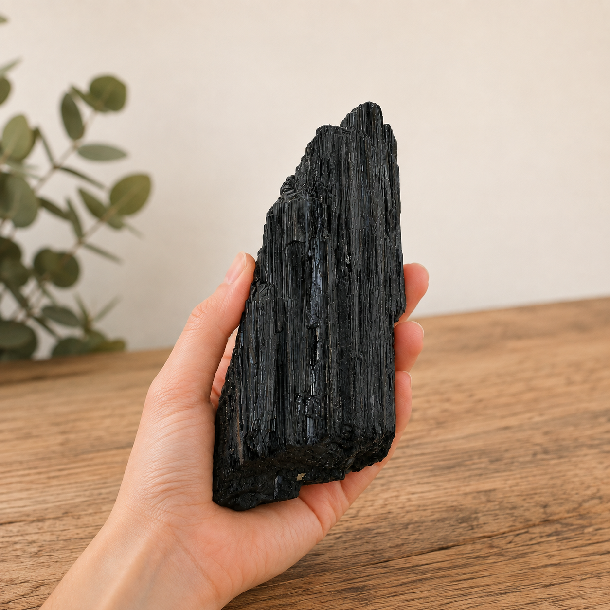 Turmalina Negra