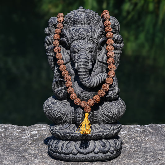 Japamala Rudraksha Big